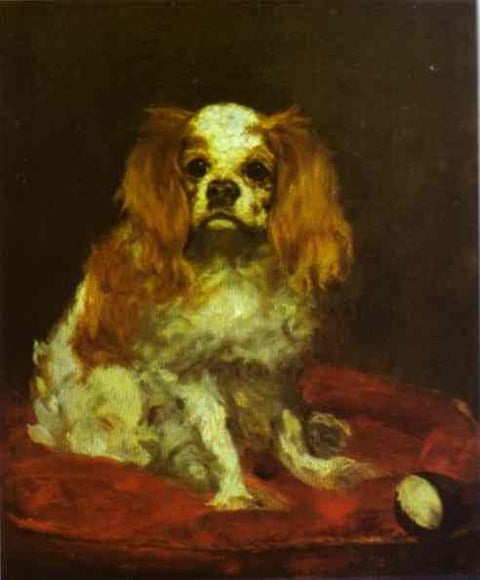 a dog sitting on a blanket with a ball in front of it