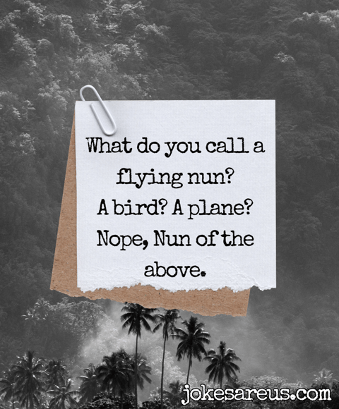What do you call a flying nun? A bird? A plane? Nope, nun of the above.