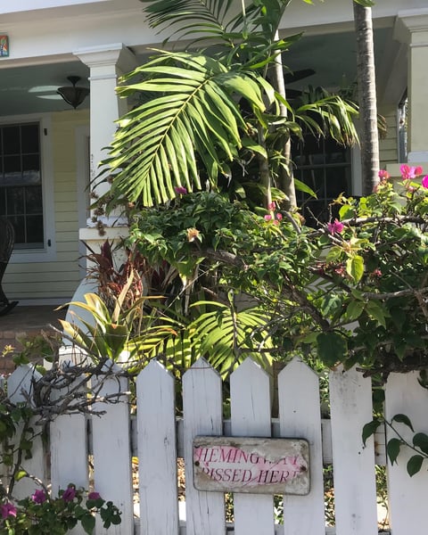 Hemingway pissed here