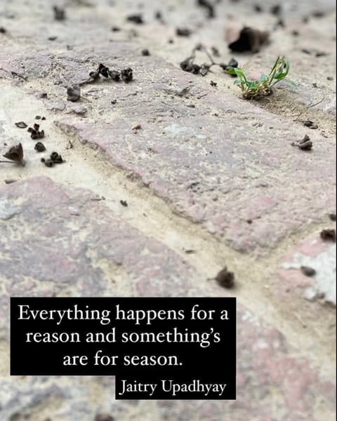 Brick surface with a quote by Jaitry Upadhyay about life’s reasons and seasons