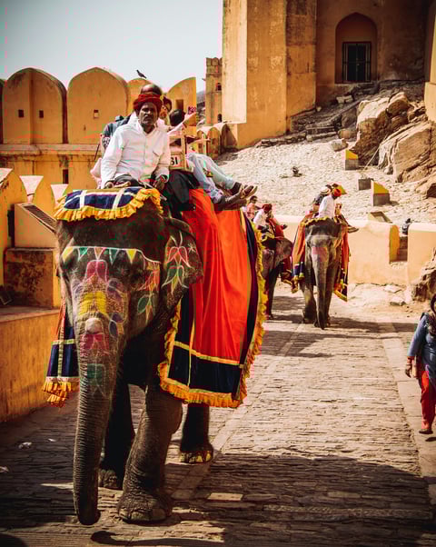 a man riding on an elephant in india