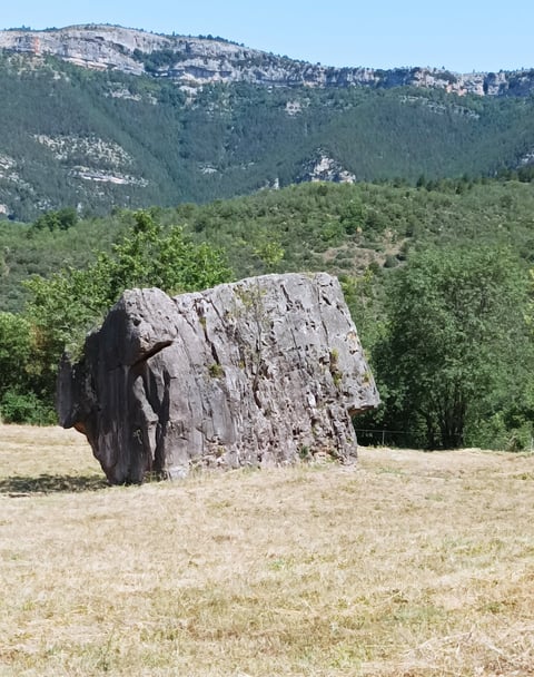 A giant 'perched block.' 