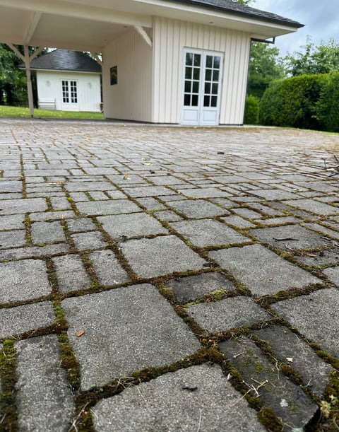 des pavées non traitée