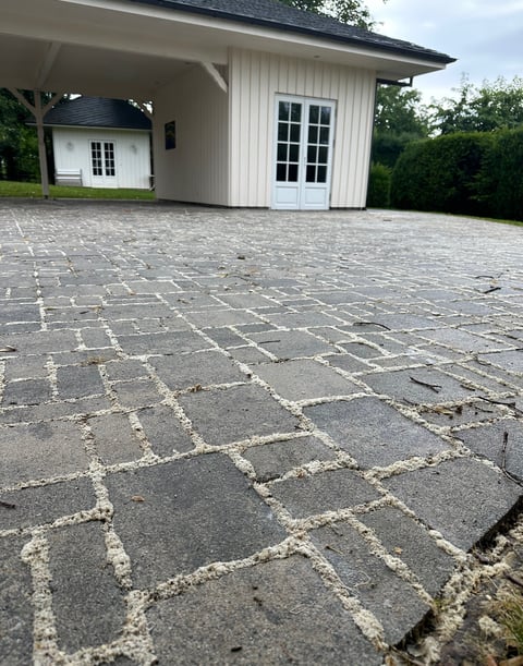 des pavées traitée