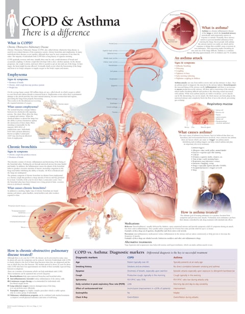 PESTICIDES SANTÉ MALADIES RESPIRATOIRES CHRONIQUES