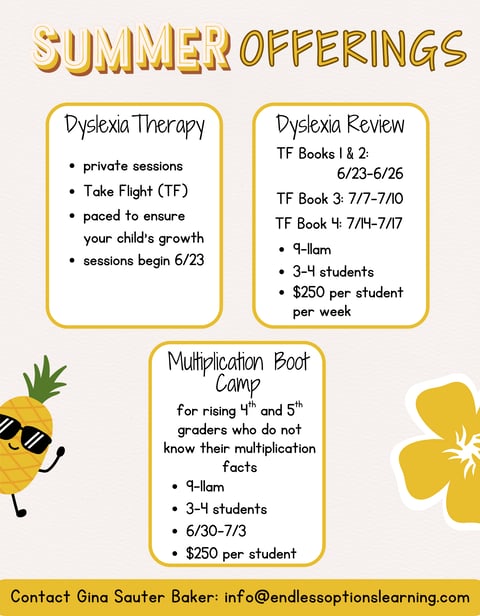 a flyer for a summer dyslexia and multiplication offerings