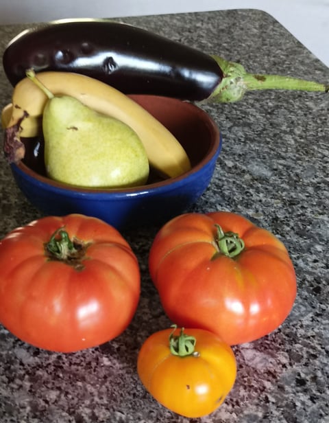 Our giant tomatoes , Merveille du Marché