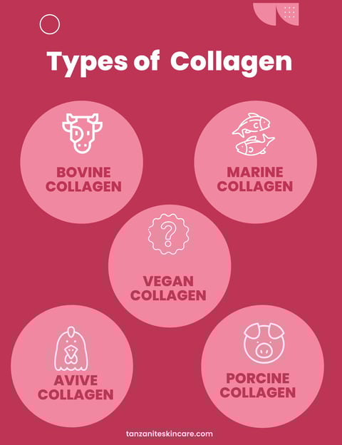 types of collagen