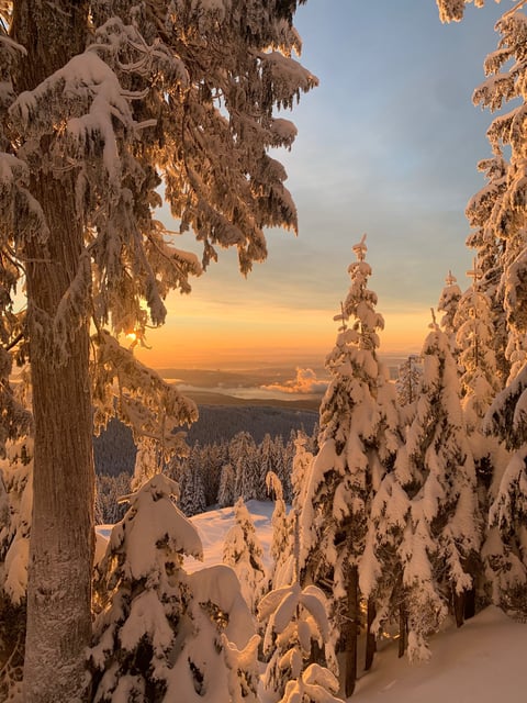 View from the top of a snowy mountain