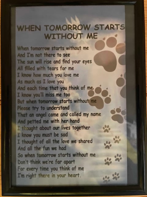 When, a poem, the loss of my dog, my friend