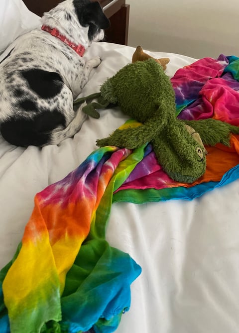 Gigi in Key West