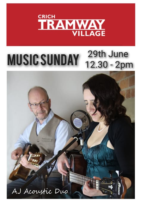 AJ Acoustic Duo Gig Performing Live Concert