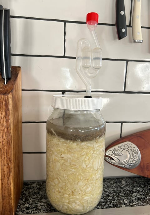 sauerkraut fermenting in a glass jar