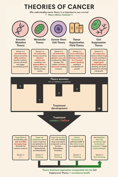 Different theories of cancer