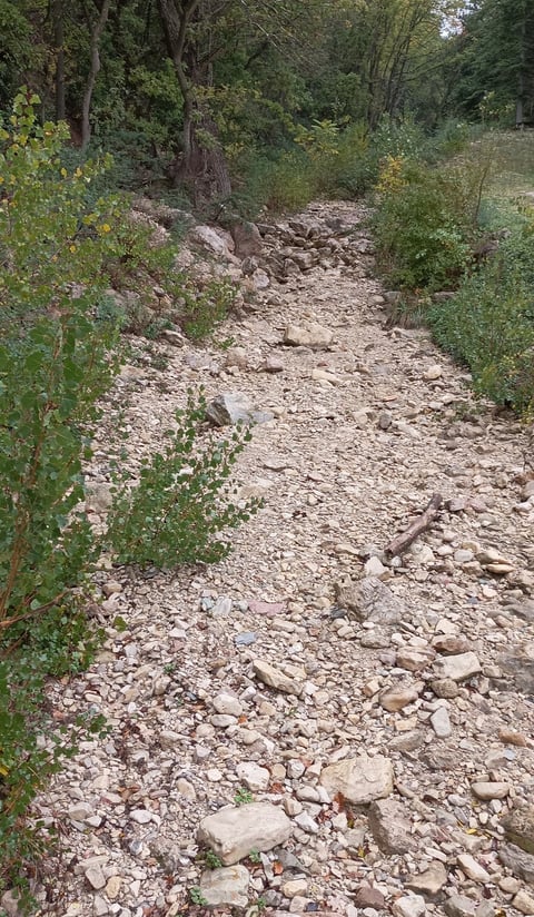 La Primelle dry river bed