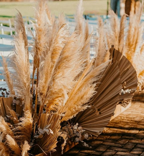 pampas grass aisle markers