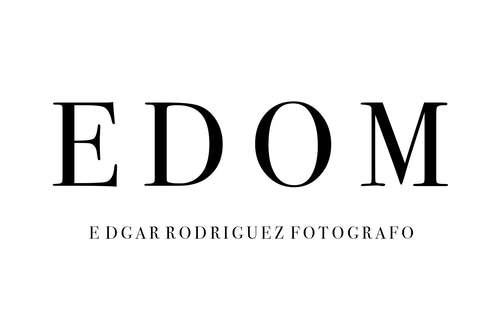 edom studio logo