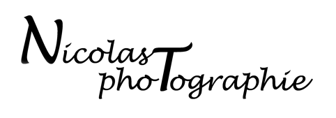 Nicolas T Photographie logo