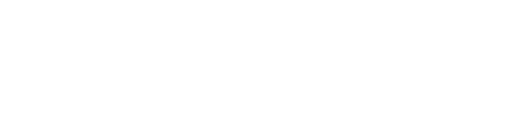 BM Diesel logo