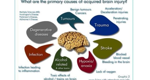 causes