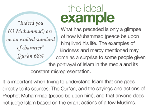 The ideal example 
