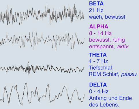 Brainwaves - beta, alpha, theta, delta