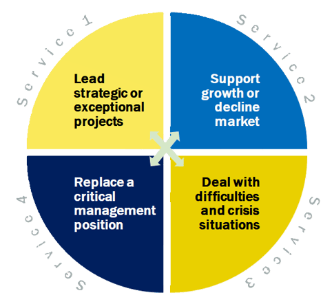 Lead strategic project - Support growth decline market replace management position crisis situation