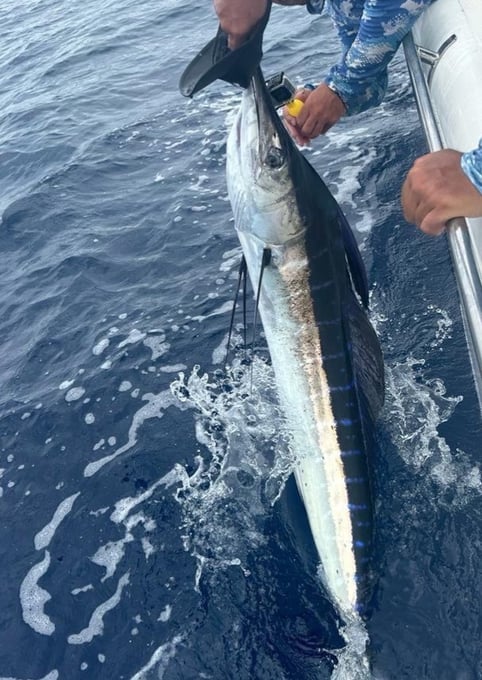 A man holding a Blue Marlin on a boat during a Zanzibar fishing charter, best Zanzibar fishing