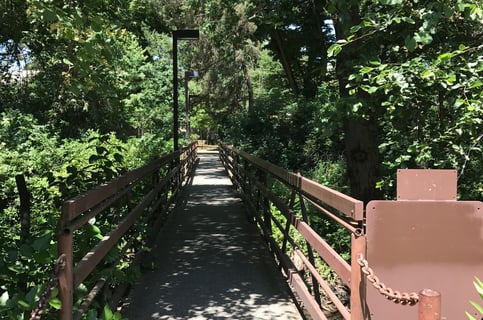 Chico State Campus Bridge 