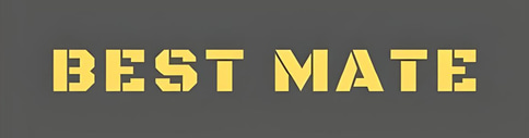 BEST MATE logo