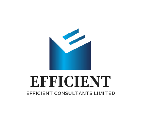 EFFICIENT CONSULTANTS LIMITED logo