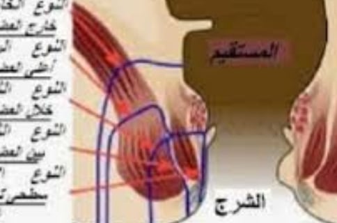 moisturizing and antibacterial properties. It can be applied topically around the affected area to h