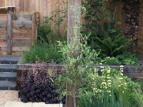 patio, raised beds, pergola, steps, with loose planting of grasses, ferns and perennials