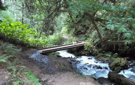 Columbia River Gorge - footbridge across Multnomah Creek that runs along the trail