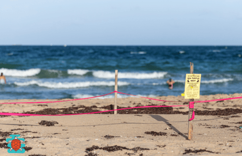 Iztuzu Beach conservation area warning signs