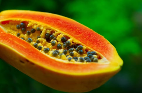 Papaya fruit cut in half