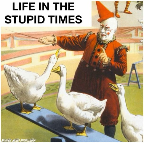 Life in the Stupid Times logo