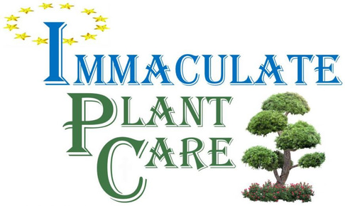 immaculateplantcare.com logo