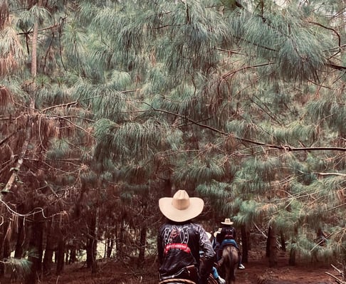 Persona cabalgando por hermosos paisajes en el lago calima