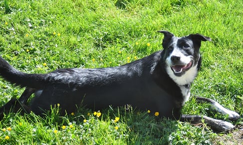 Thor prend le soleil !