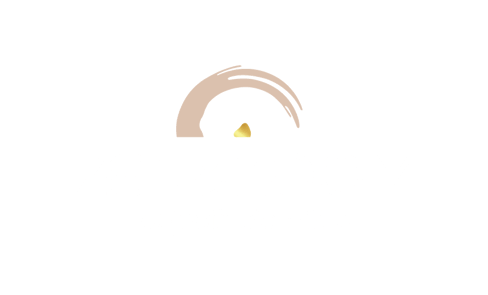 Zen & Zoom logo