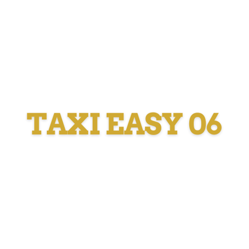 Taxi Easy 06 logo