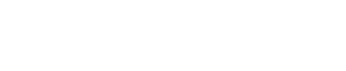 Sleepflyer logo