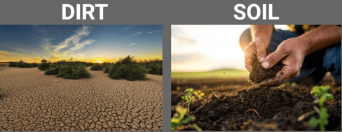 dirt vs soil