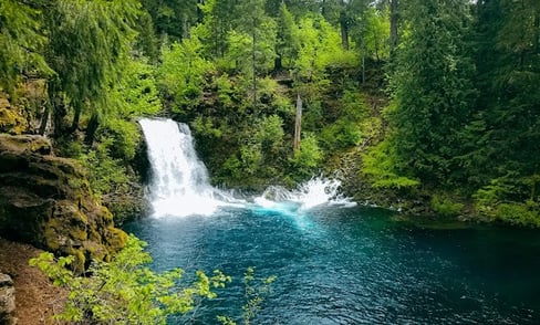 Eugene - Tamolitch Falls plunges into a 30 feet deep blue-turquoise pool