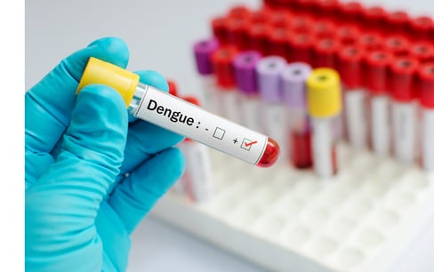 a person in gloves and gloves holding a tube with a blood test tube
