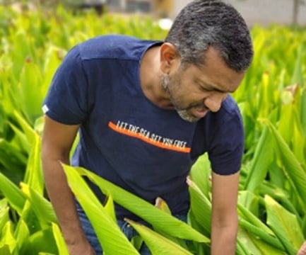 Vivek