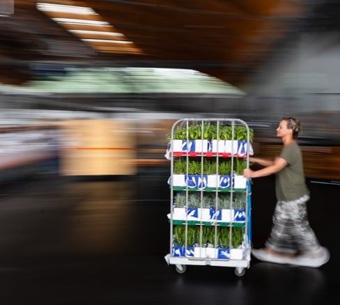 Catering von der Planung