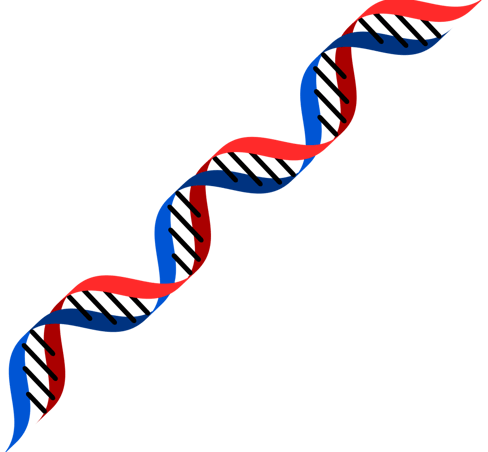 What is Ancestry.com and How Does It Work?