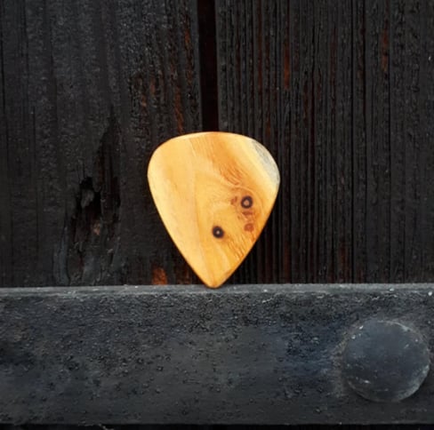 One of our Standard Osage Orange guitar picks balanced on the metal strap of an old, dark door.